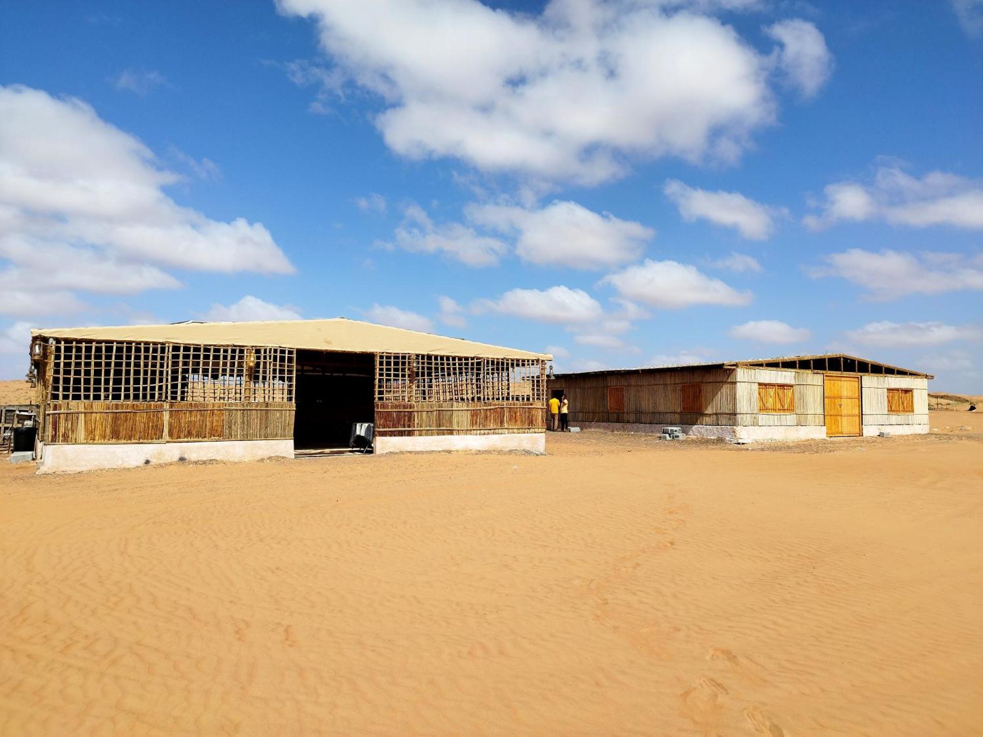 Sands Dream Tourism Camp Shahiq Exterior photo